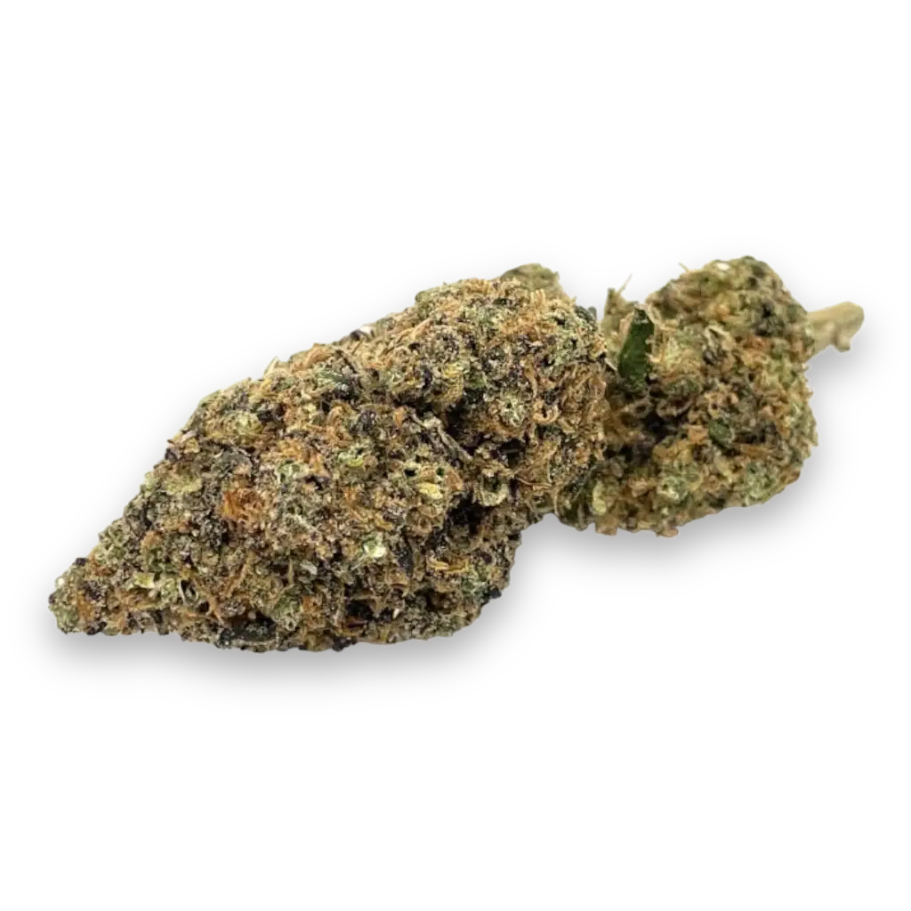 bombastic-berry-cbd-seeds-bud