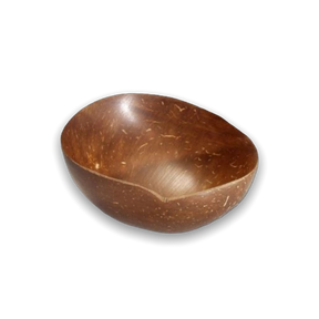 Kokosnuss_Schale_Tray Kopie