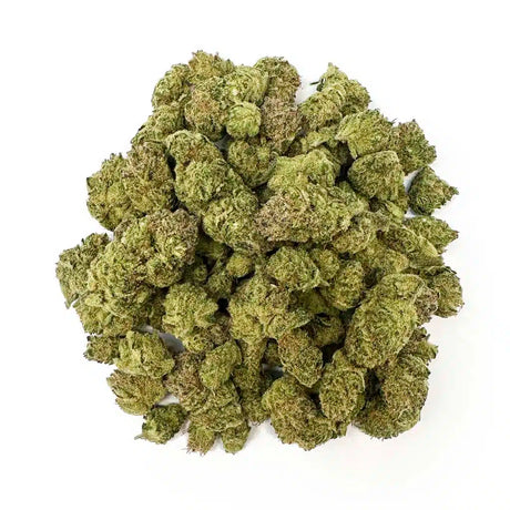 WEEDX_GhostTrain_Haufen