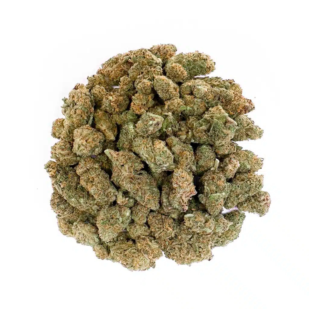 WEEDX_GranddaddyRmbo_Haufen